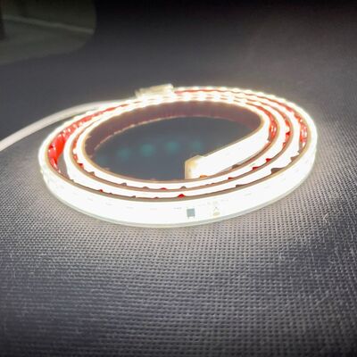 IP68 Waterproof AC220V SMD2835 LED Flex Strip 120LEDs/M White 3000K-6500K