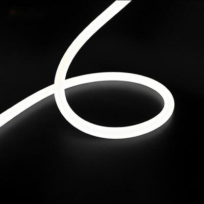 360 Degrees 25mm Diameter Neon LED Rope Light Round Flex Strip IP67 Outdoor