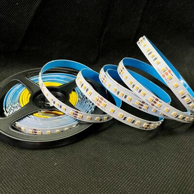 Dynamic CCT 3528 LED Tape Light Switchable White Flexible LED Strip 12V 24V 