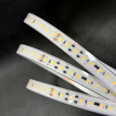 AC220V Flexible LED Strip Tape Light IP68 LED Linear Light for Modern Lighting