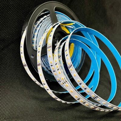 Dynamic CCT 3528 LED Tape Light Switchable White Flexible LED Strip 12V 24V 