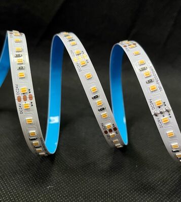 Dynamic CCT 3528 LED Tape Light Switchable White Flexible LED Strip 12V 24V 