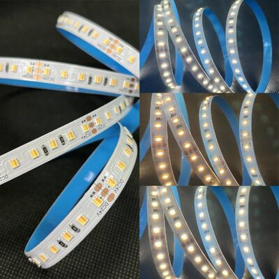 Tunable Warm Cool White 3528 SMD LED Strip for Retail Display