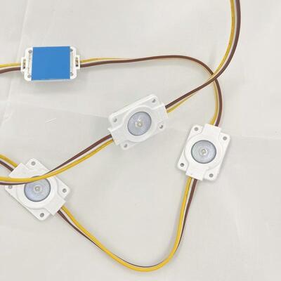 Waterproof 1.5W DC12V LED Module 2700-6500K Tunable White Dimmable Backlight